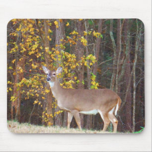 Deer in Front of Yellow Autumn Tree Mouse Pad