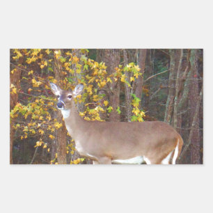 Deer in Front of Yellow Autumn Tree Rectangular Sticker