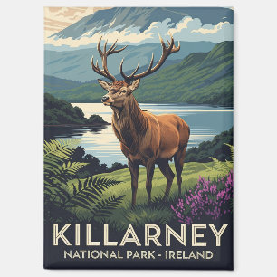 Deer in Killarney National Park Ireland Travel Magnet