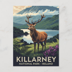 Deer in Killarney National Park Ireland Travel Postcard