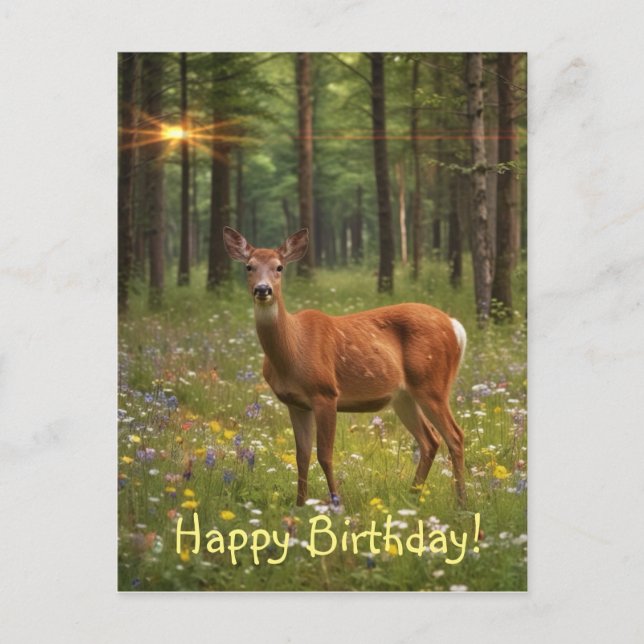 Deer in Magical Forest Postcard (Front)