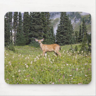 Deer in Paradise Park Mouse Pad