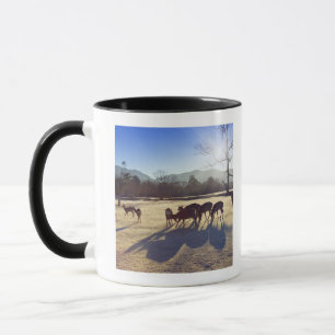 Deer in park in Nara, Nara Prefecture, Japan Mug