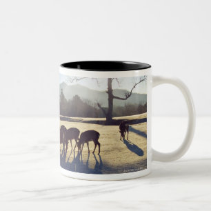 Deer in park in Nara, Nara Prefecture, Japan Two-Tone Coffee Mug