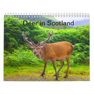 Deer in Scotland - Calendar