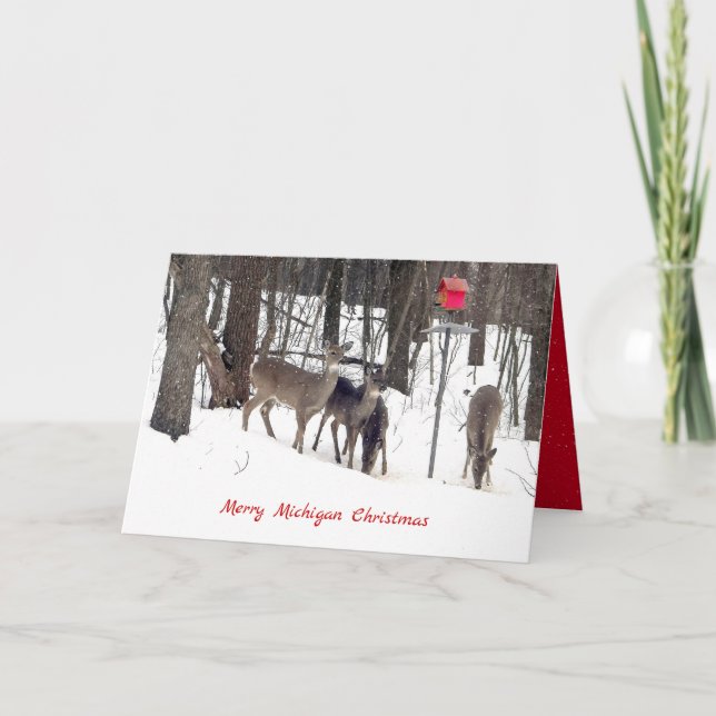 deer in snow and red birdhouse with snowflakes card (Front)