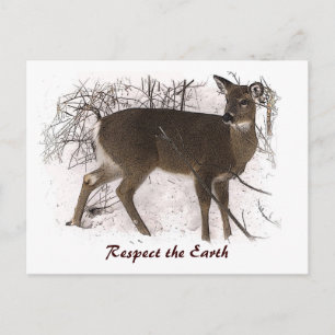 Deer in Snow Earth Day Postcard