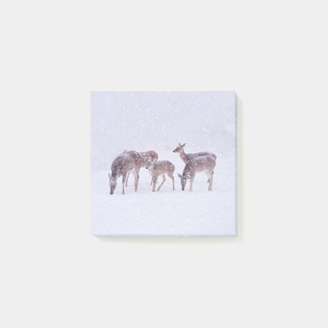 Deer in Snow Post It Nature Note Pad (Front)
