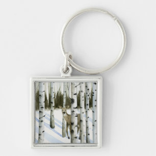 Deer in Snowfall Key Ring