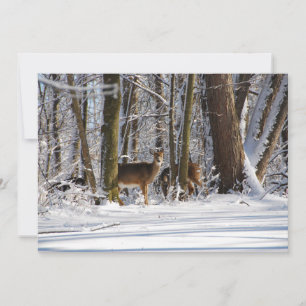 Deer in Snowy Eagle Creek City Park Holiday Card