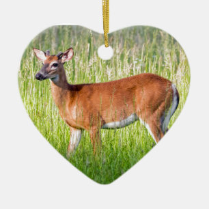 Deer In Tall Grass Ceramic Ornament