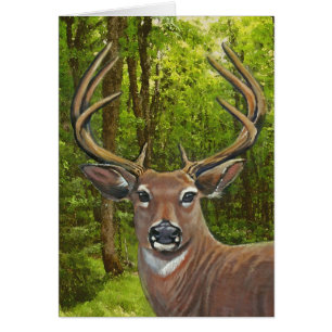 Deer in the Ash Meadow