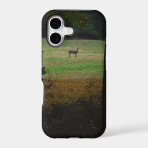 Deer in the Distance