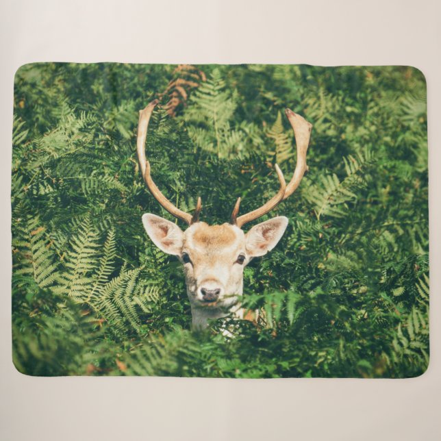 DEER in the FERNS Sherpa Blanket (Front (Horizontal))