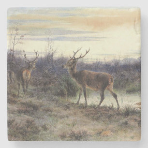 Deer in the Forest at Fontainebleau (Rosa Bonheur) Stone Coaster