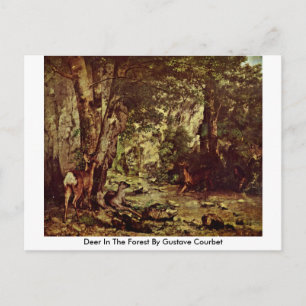 Deer In The Forest By Gustave Courbet Postcard