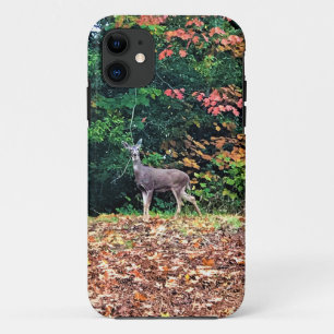 Deer in the Forest, Oregon iPhone 11 Case