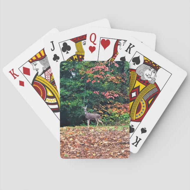 Deer in the Forest, Oregon Playing Cards (Back)