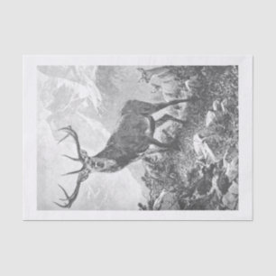 Deer in the High Mountains Tissue Paper