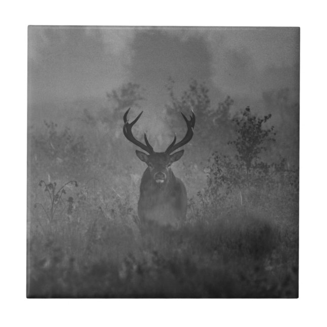 Deer In The Mist Ceramic Tile (Front)