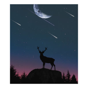 deer in the moonlight photo print