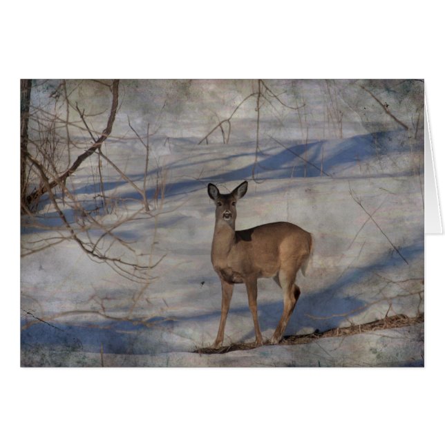 Deer in the snow (Front Horizontal)