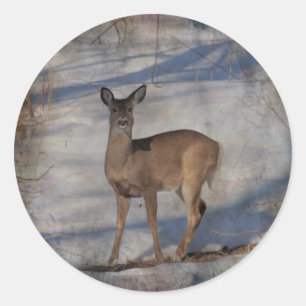 Deer in the snow classic round sticker