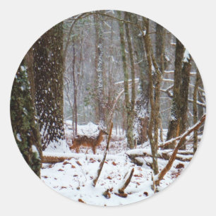 Deer in the snow fall classic round sticker