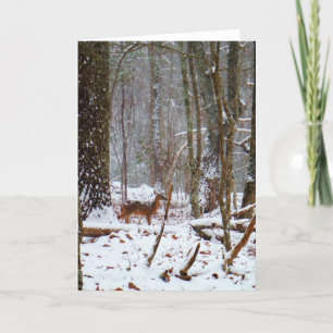 Deer in the snow fall holiday card