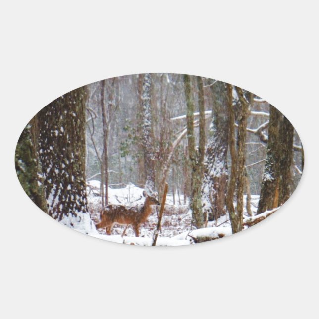 Deer in the snow fall oval sticker (Front)