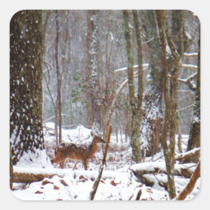 Deer in the snow fall square sticker