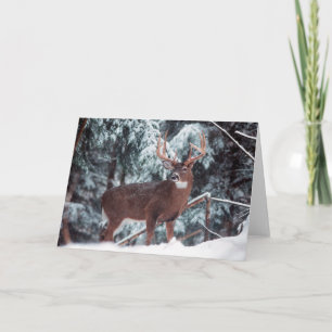 Deer in the Snow Greeting Card