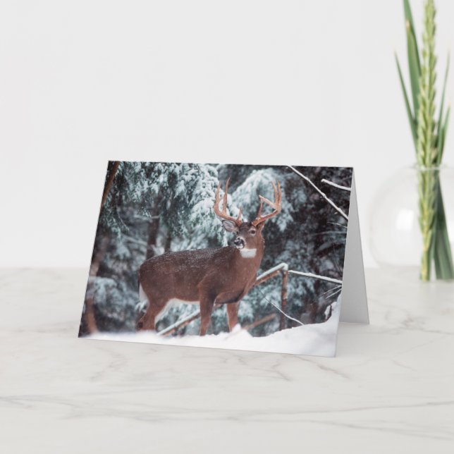 Deer in the Snow Greeting Card (Front)