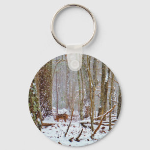 Deer in the snow, licking key ring