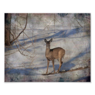 Deer in the snow photo print
