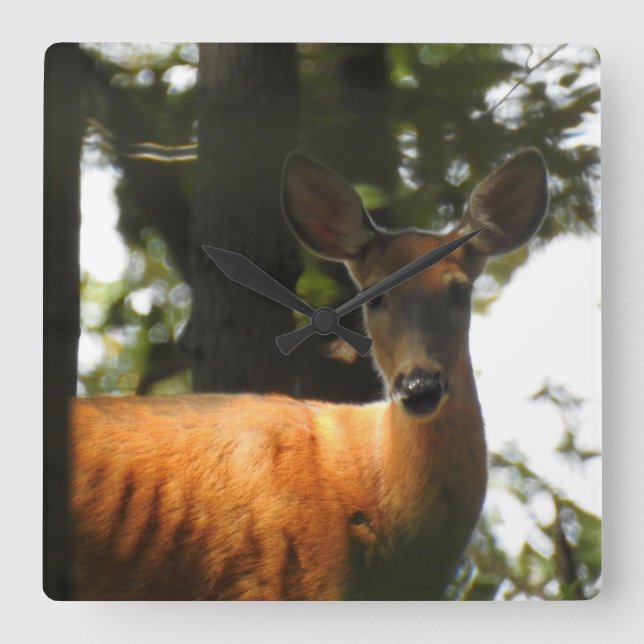 Deer In The Trees Square Wall Clock (Front)