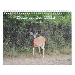 Deer in the Wild Photographic Calendar