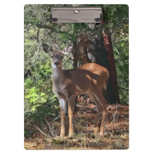 DEER IN THE WOODS CLIPBOARD