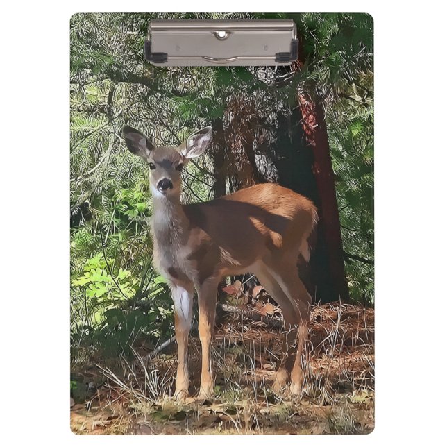 DEER IN THE WOODS CLIPBOARD (Front)
