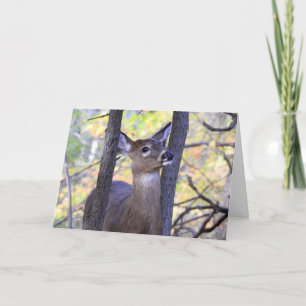 Deer in The Woods / I Love You Deerly Card