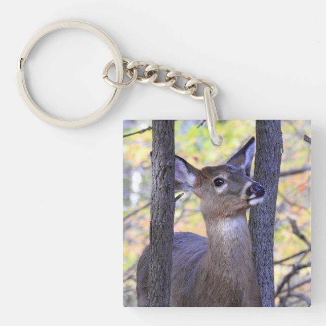 Deer in The Woods Key Ring (Front)