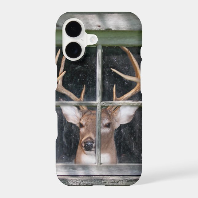 deer in window (Back)