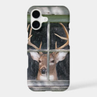 deer in window