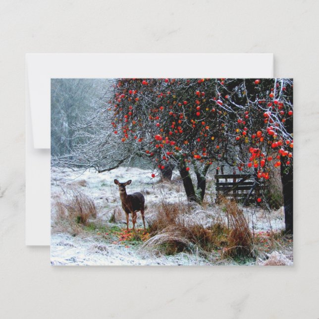 Deer in Winter (Front)