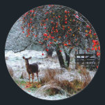 Deer in Winter Classic Round Sticker<br><div class="desc">Original by Jan Tik: http://www.flickr.com/photos/jantik/308709862/</div>