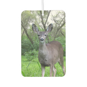 Deer in Woods Air Freshener