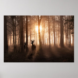 Deer in woods at sunrise in Norfolk England Poster