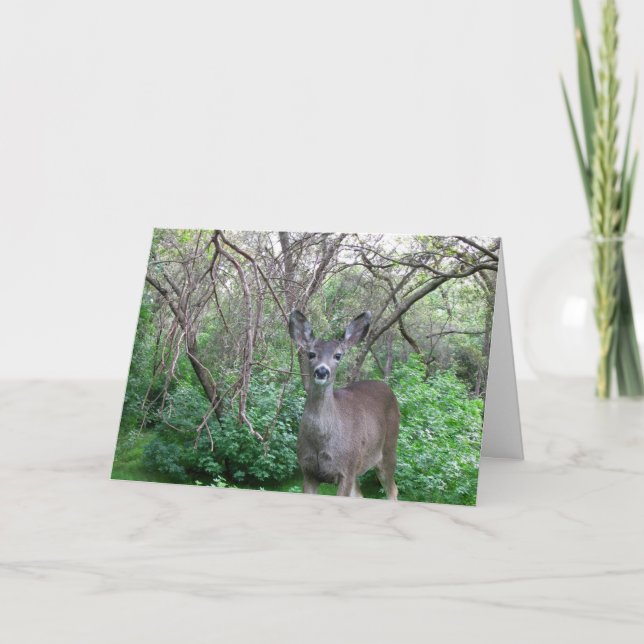 Deer in Woods Get Well Soon Card (Front)