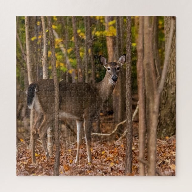 Deer in Woods Jigsaw Puzzle (Vertical)