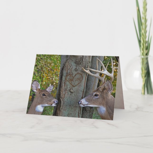 deer in woods with true love heart card (Front)